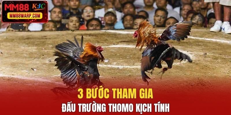 3 bước tham gia đấu trường Thomo kịch tính