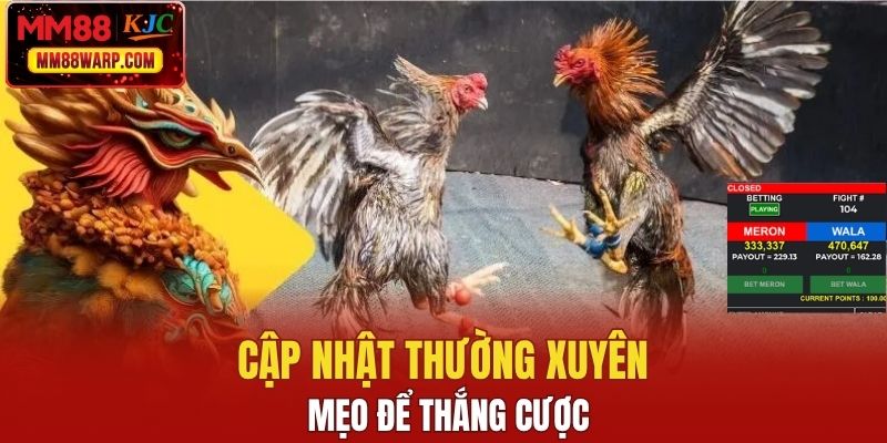Cập nhật thường xuyên mẹo để thắng cược