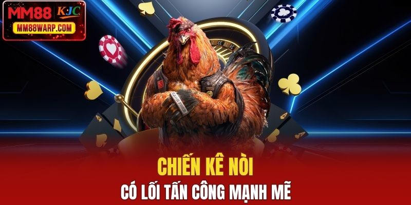 Chiến kê nòi có lối tấn công mạnh mẽ 
