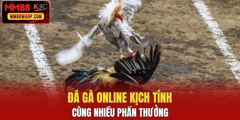 Đá gà online kịch tính cùng nhiều phần thưởng