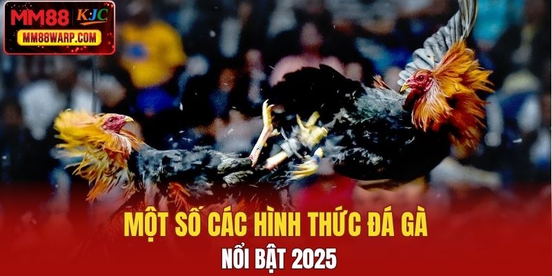 Một số các hình thức đá gà nổi bật 2025